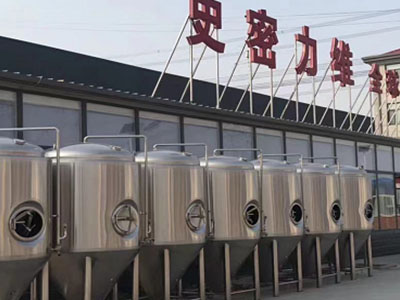 泉州精酿啤酒设备厂—如何判断精酿啤酒设备的密封件需要更换？